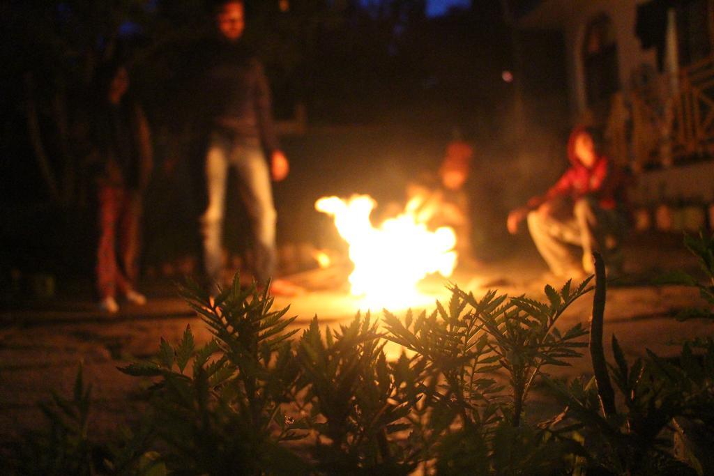 Orchards House - The Hidden Tribe Hotel Manali  Ngoại thất bức ảnh